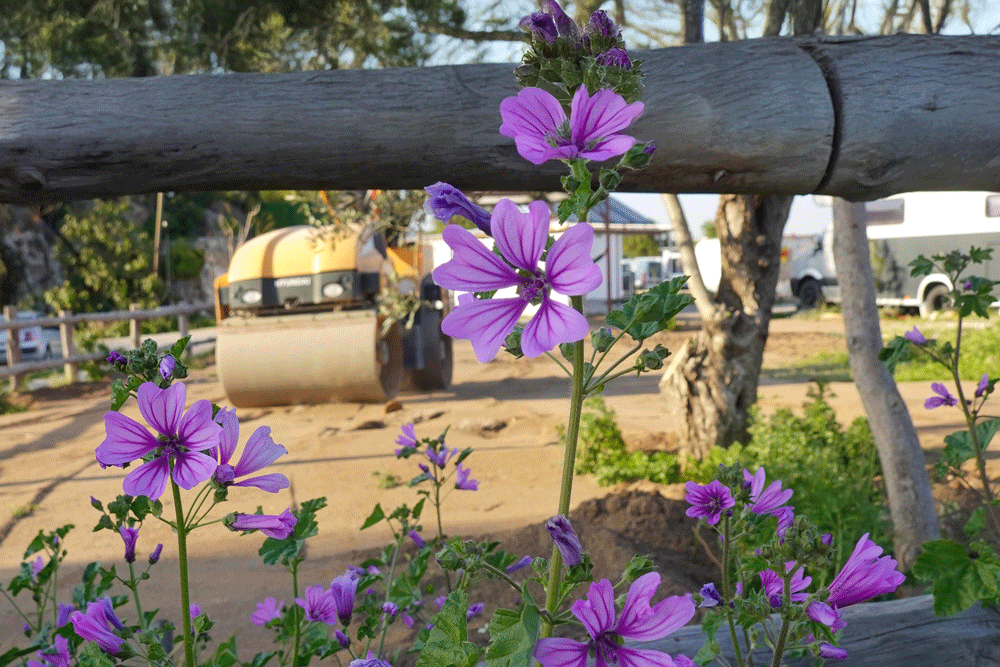 Güzelliğin Geçiciliğiyle Başa Çıkma Hâli